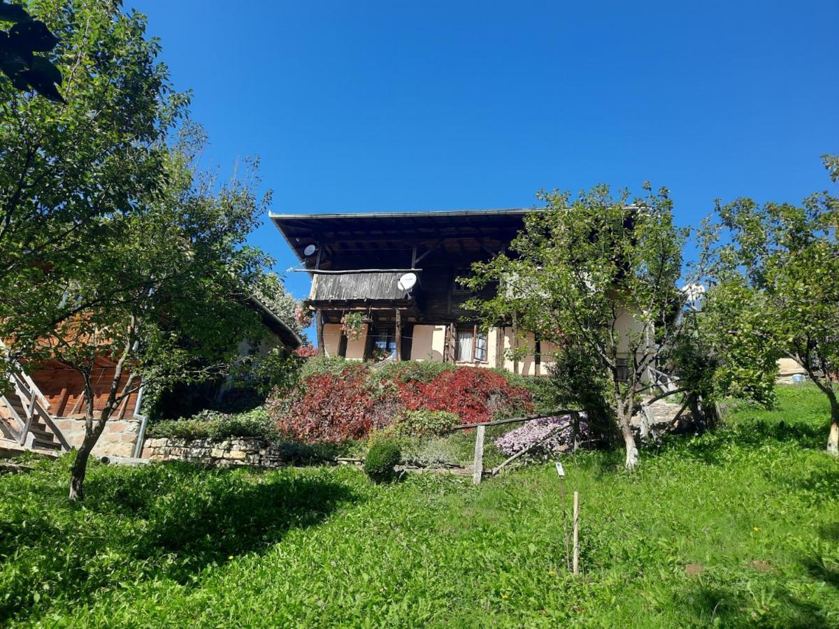 אלנה Guest House Kandaferi 2 מראה חיצוני תמונה