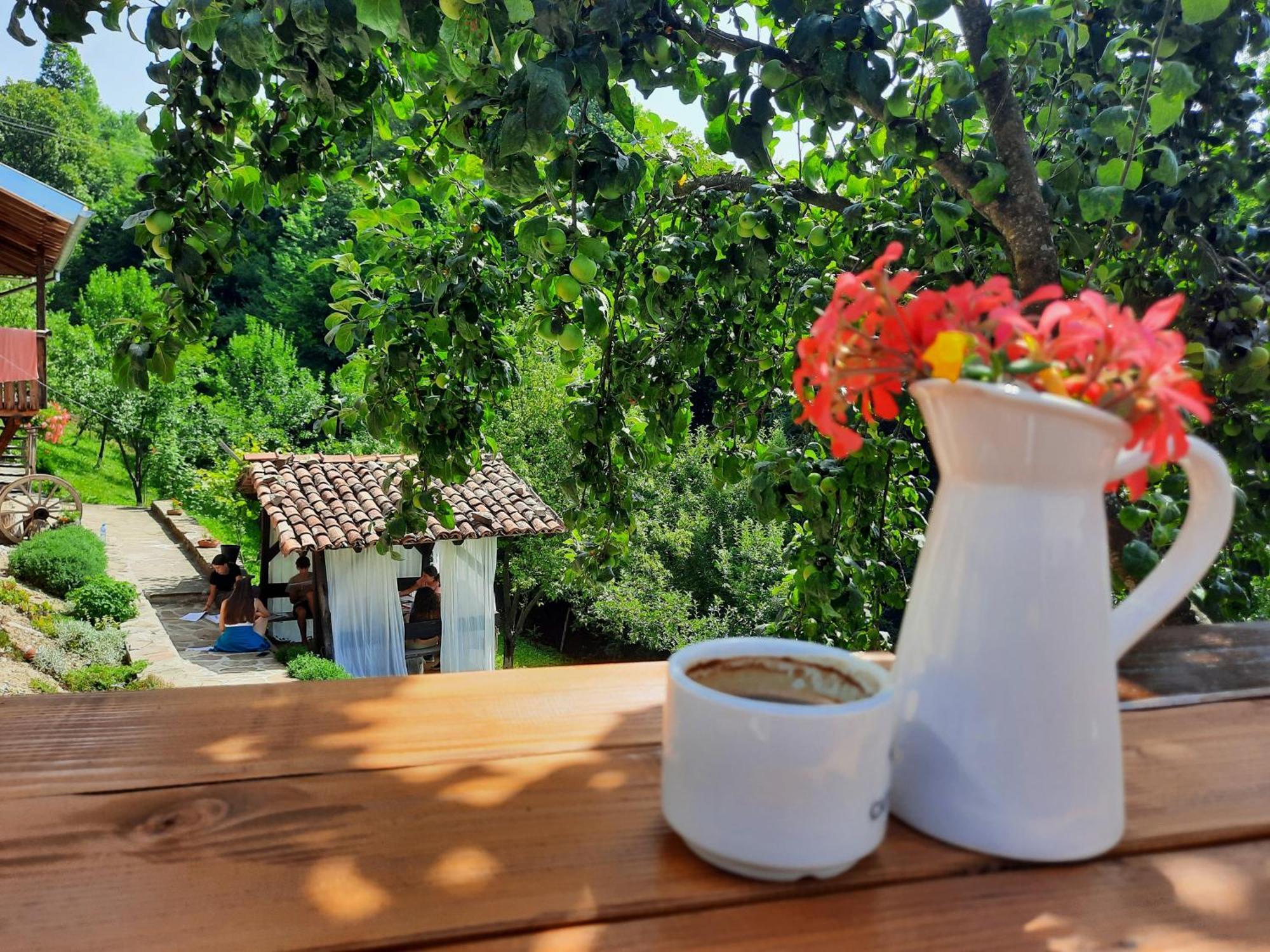 אלנה Guest House Kandaferi 2 מראה חיצוני תמונה